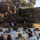 Excavations at the Drimolen site, and excavated fossils.